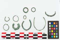 Foto von Bronzering (NHMW-PRAE-078071)